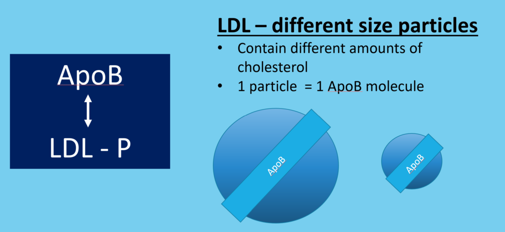 LDL particles and ApoB