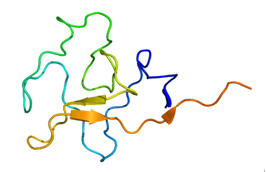 lipoprotein (a)